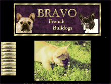 Tablet Screenshot of bravoshowdogs.com